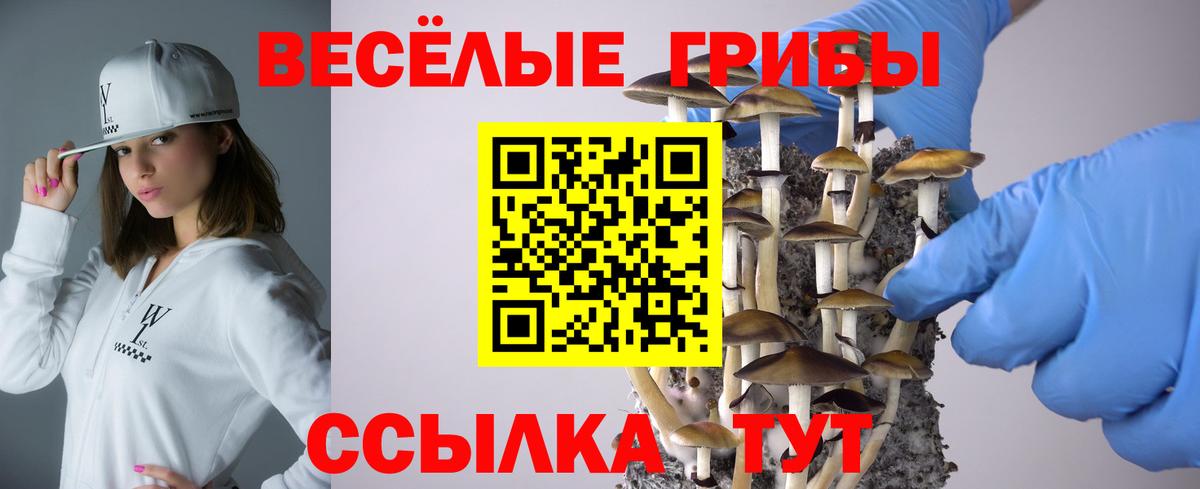 Галлюциногенные грибы Psilocybe  Вход с VPN  купить наркотики цена  Галлюциногенные грибы MAGIC MUSHROOMS  Ессентуки 